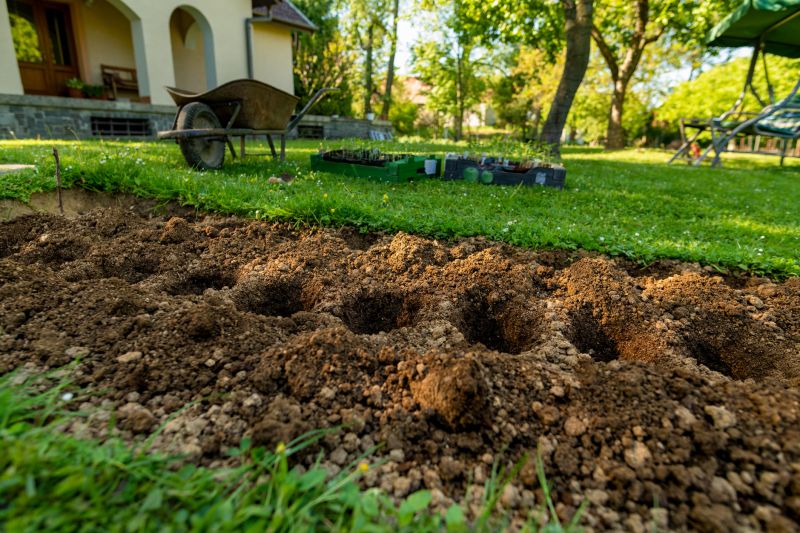 Healthy Garden Soil