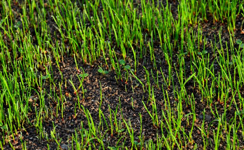 Spring Soil Preparation